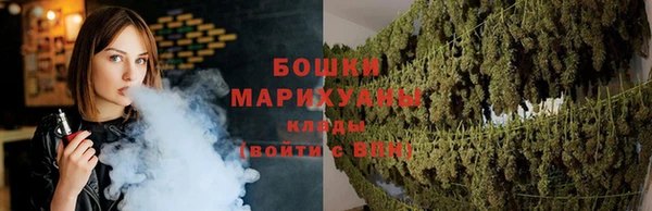 амф Карпинск