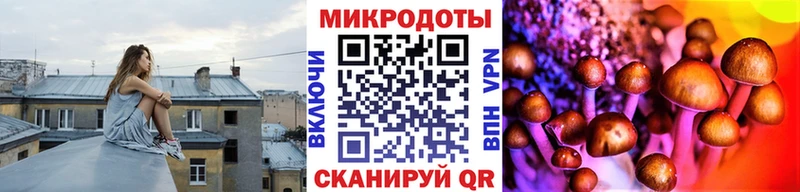 где купить наркоту  Каневская  Галлюциногенные грибы GOLDEN TEACHER 